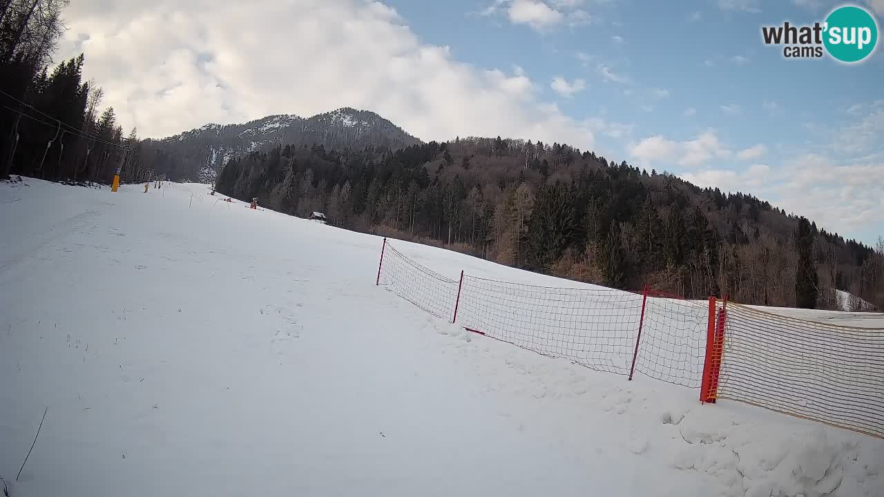 Kranjska Gora Station de ski | Brsnina