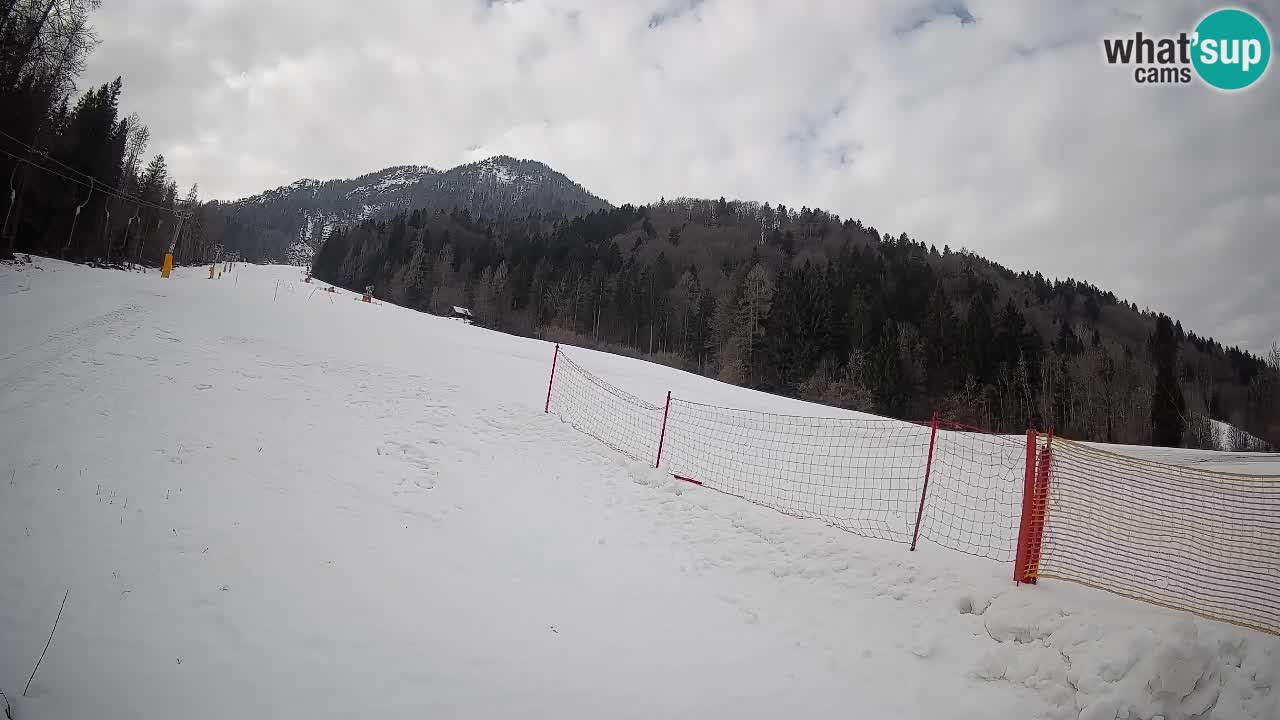 RTC Skigebiet Kranjska Gora | Brsnina