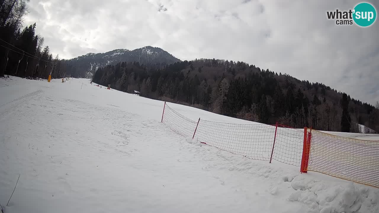 RTC Skigebiet Kranjska Gora | Brsnina
