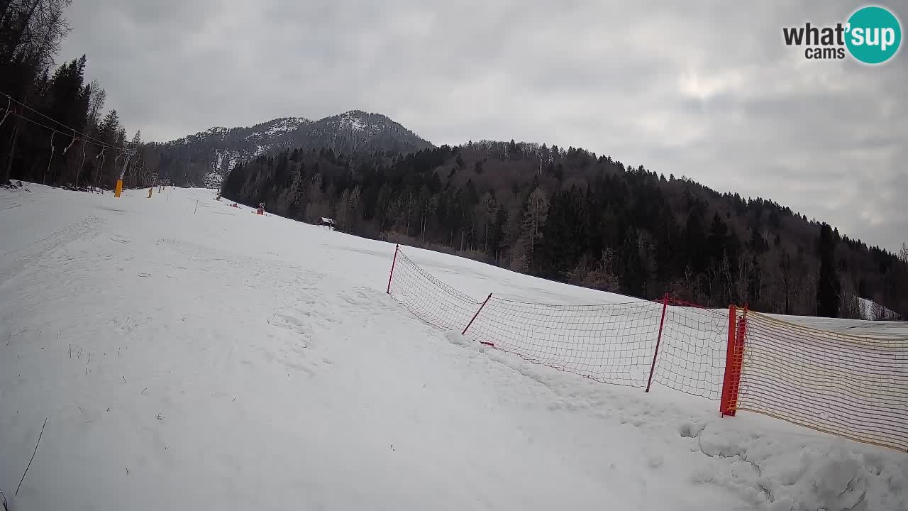 Ski Kranjska Gora | Brsnina