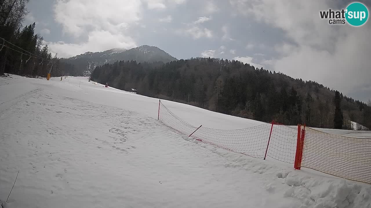 RTC Skigebiet Kranjska Gora | Brsnina