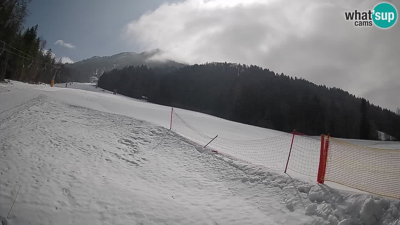 RTC Skigebiet Kranjska Gora | Brsnina