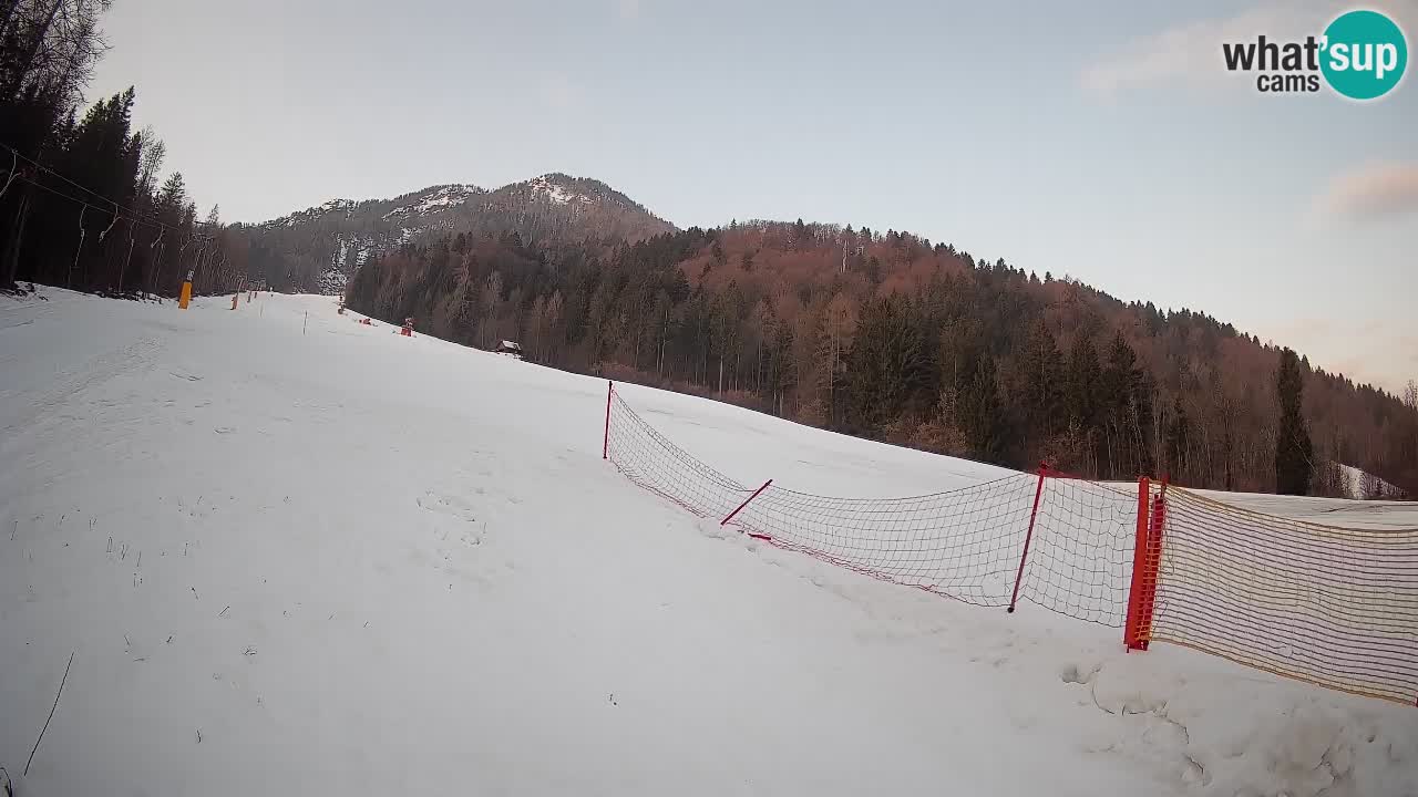 Ski Kranjska Gora | Brsnina