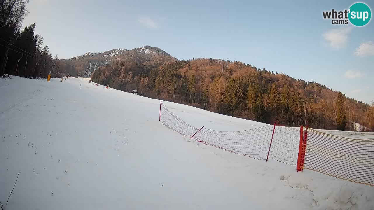 Ski Kranjska Gora | Brsnina