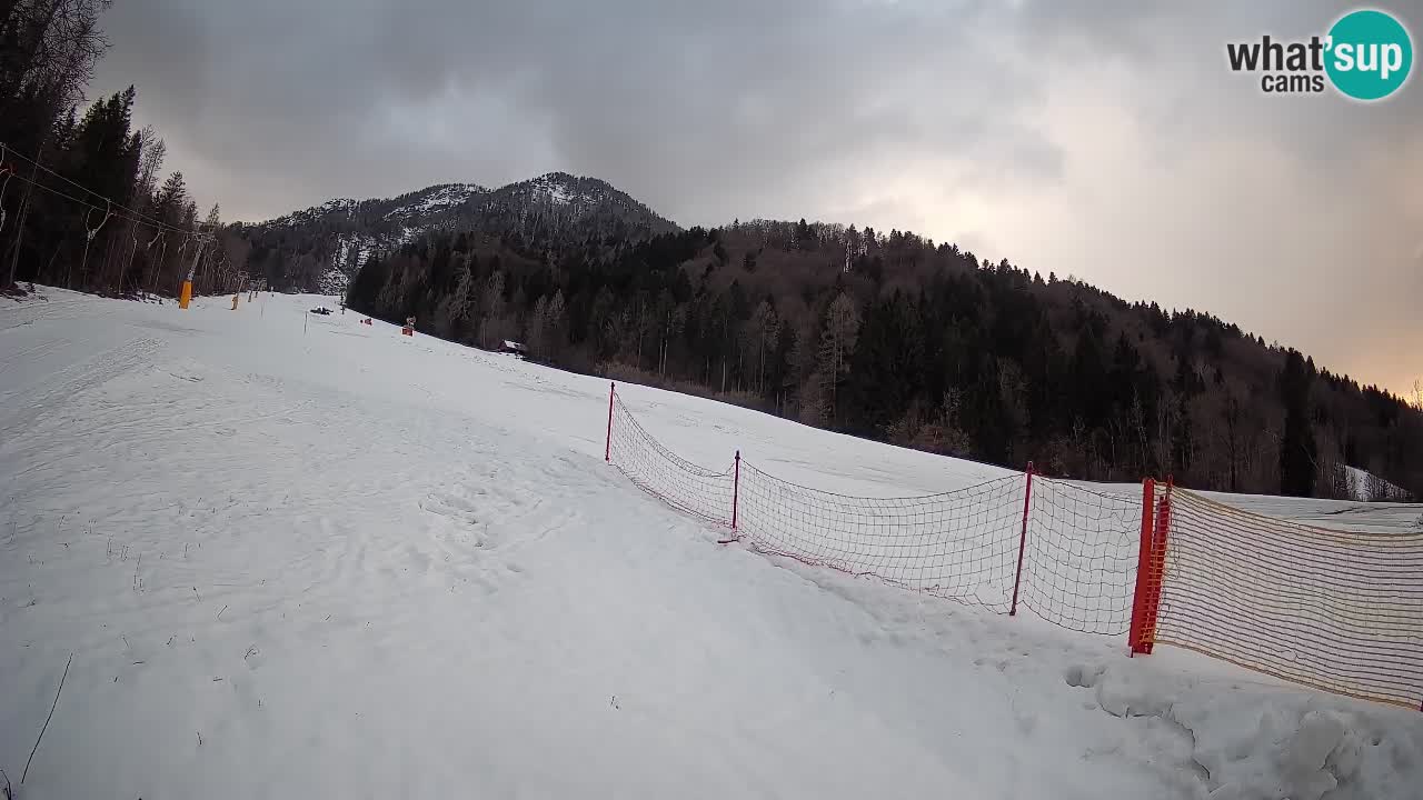 RTC Kranjska Gora | Brsnina