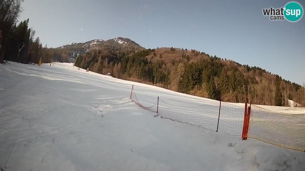 RTC Kranjska Gora | Brsnina