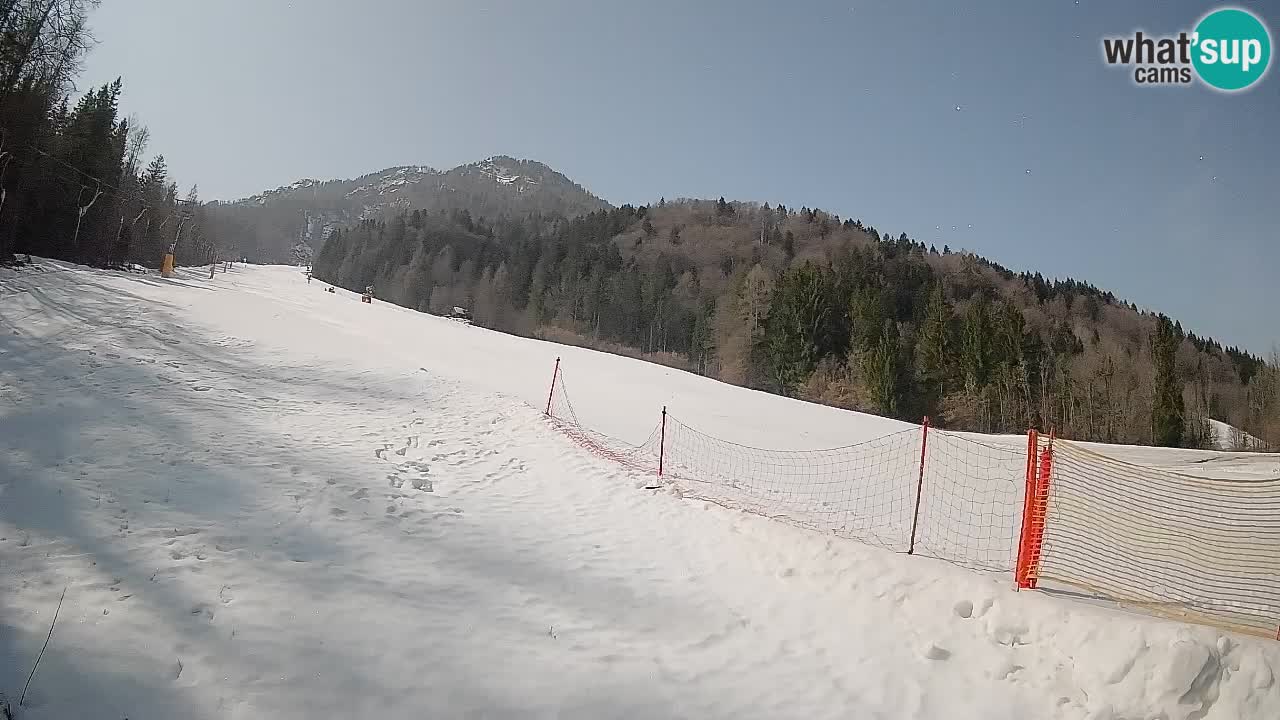 Kranjska Gora SKIJANJE | Brsnina