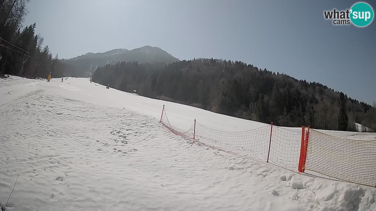 Kranjska Gora SKIJANJE | Brsnina