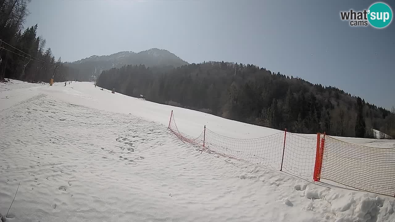RTC Kranjska Gora | Brsnina
