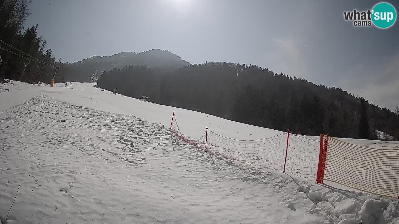 Esquí Kranjska Gora | Brsnina
