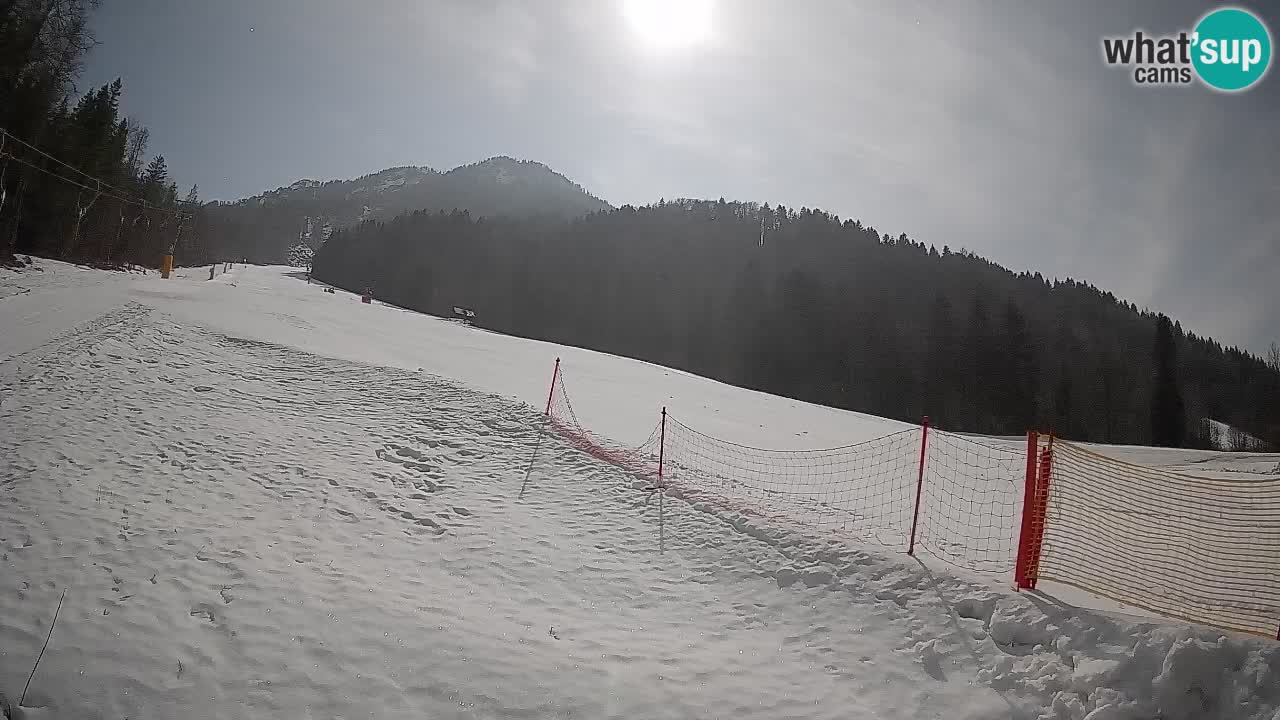 RTC Kranjska Gora | Brsnina