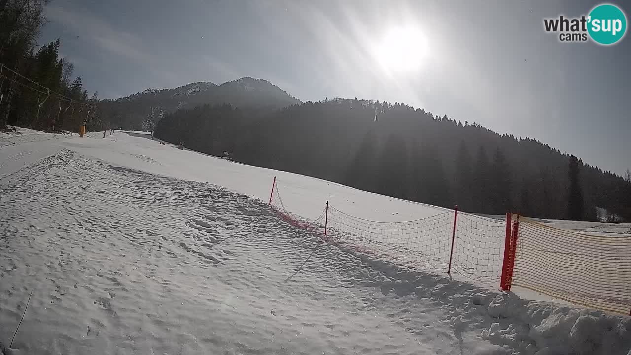 Esquí Kranjska Gora | Brsnina