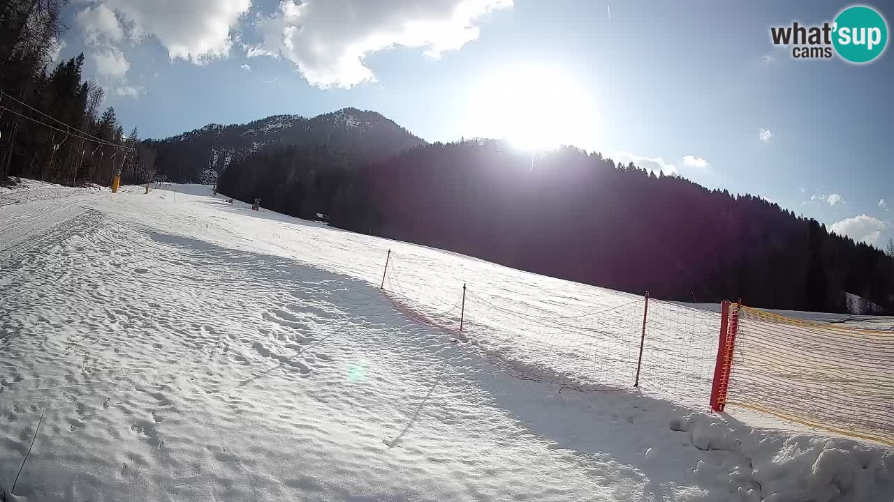 Esquí Kranjska Gora | Brsnina