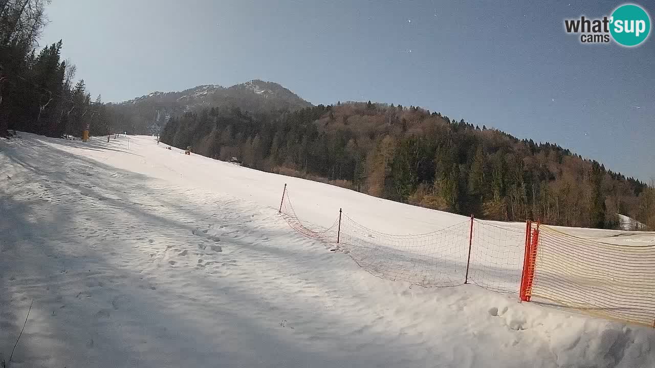 Ski Kranjska Gora | Brsnina