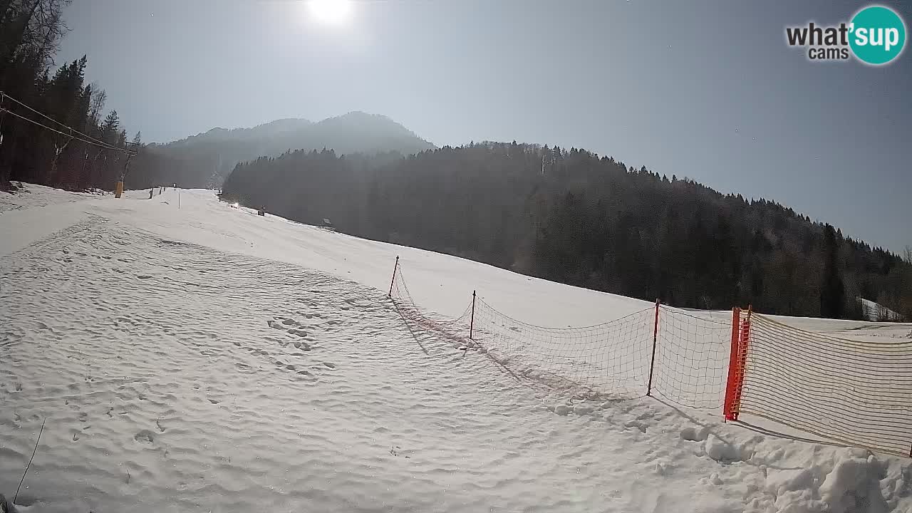 RTC Kranjska Gora | Brsnina