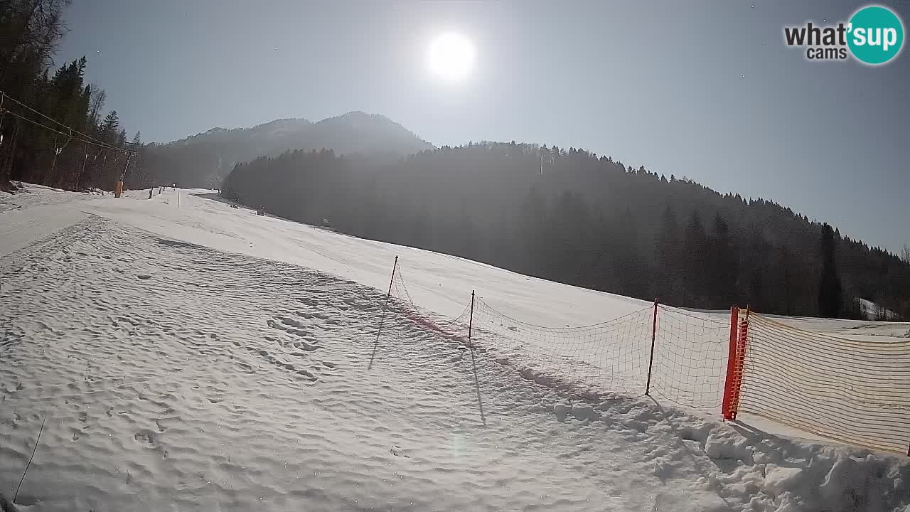Kranjska Gora SKIJANJE | Brsnina