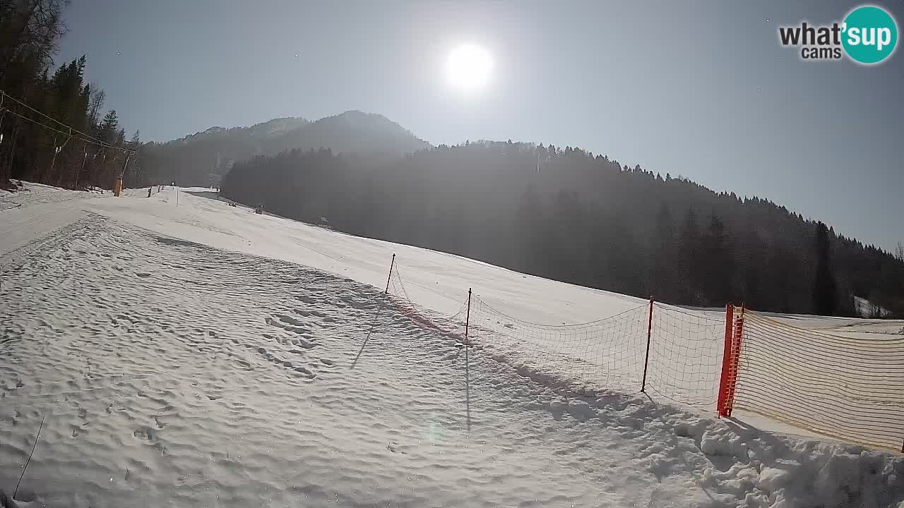 RTC Kranjska Gora | Brsnina