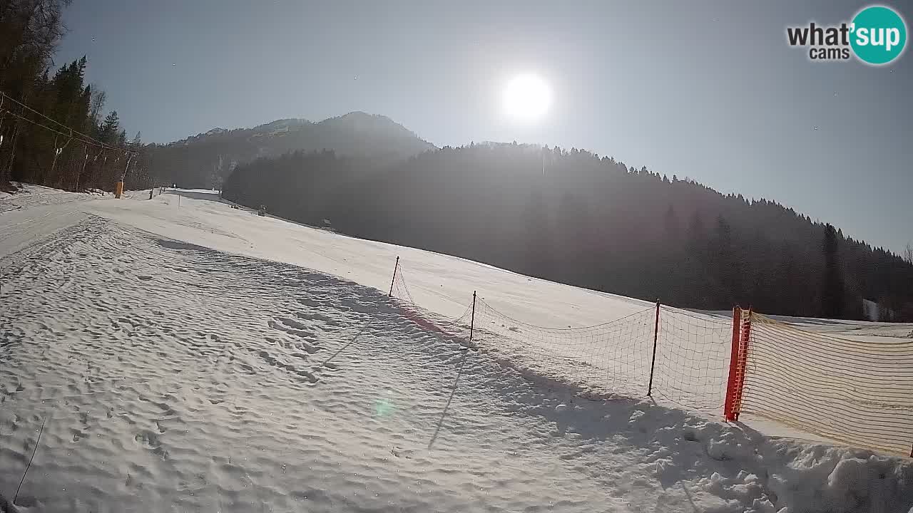 RTC Skigebiet Kranjska Gora | Brsnina