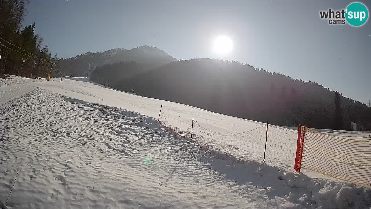 RTC Skigebiet Kranjska Gora | Brsnina