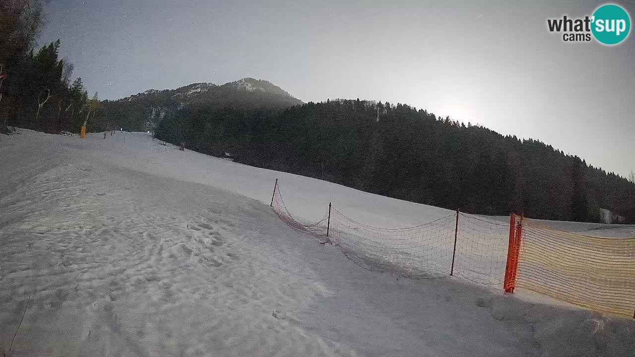 RTC Kranjska Gora | Brsnina