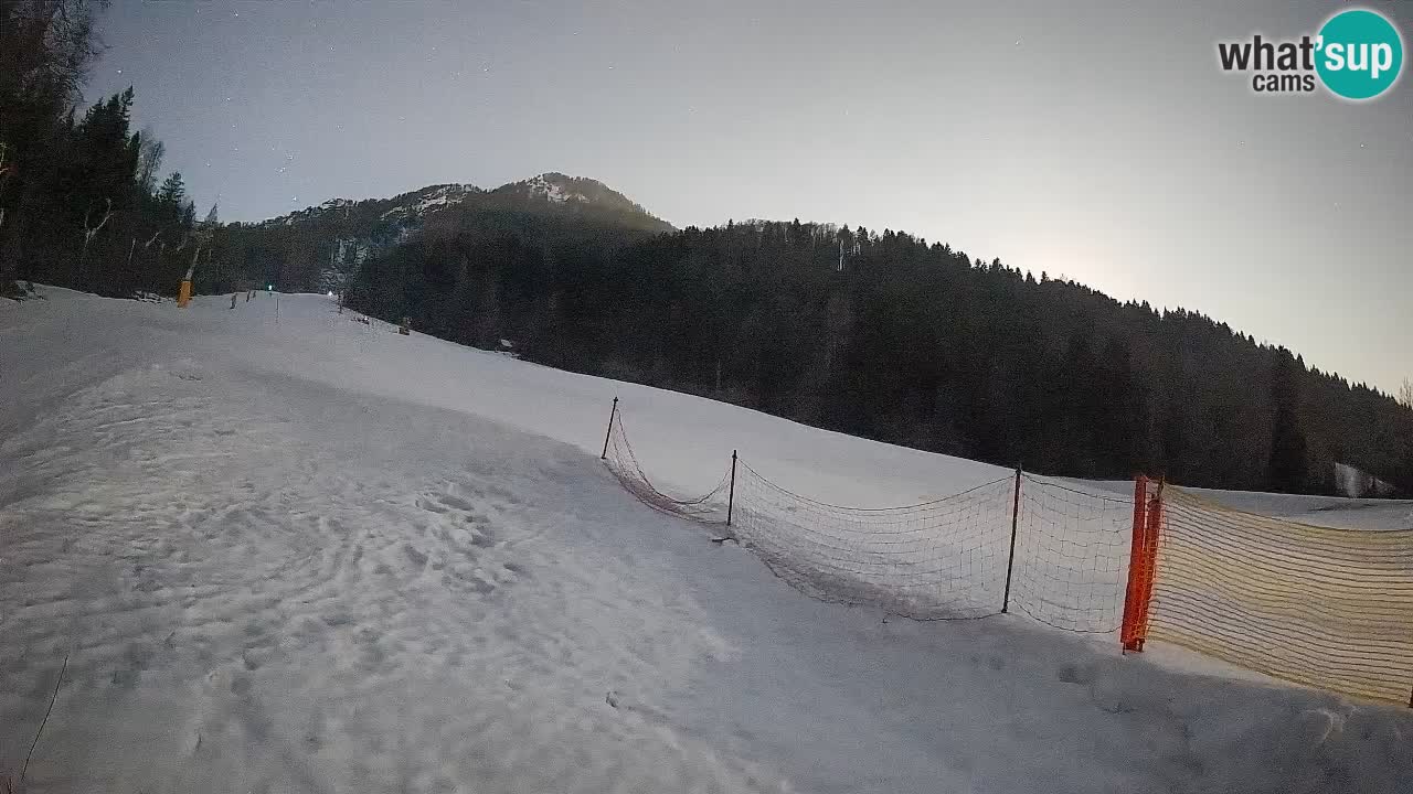 RTC Skigebiet Kranjska Gora | Brsnina