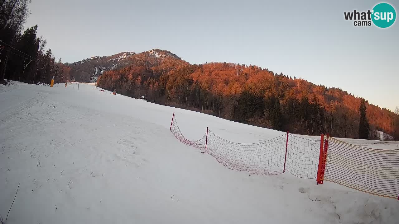 Ski Kranjska Gora | Brsnina