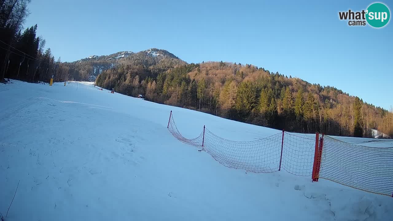 RTC Skigebiet Kranjska Gora | Brsnina