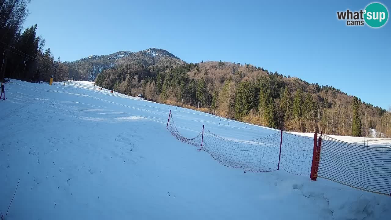 Ski Kranjska Gora | Brsnina