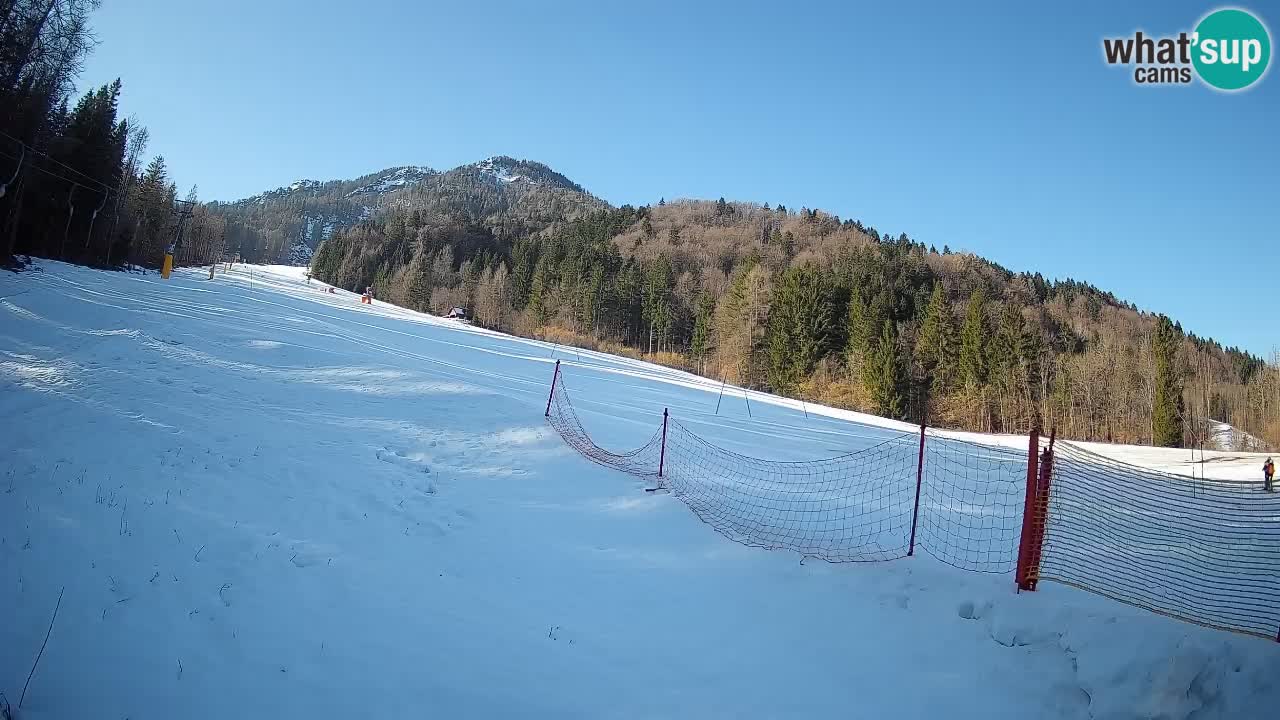 RTC Skigebiet Kranjska Gora | Brsnina