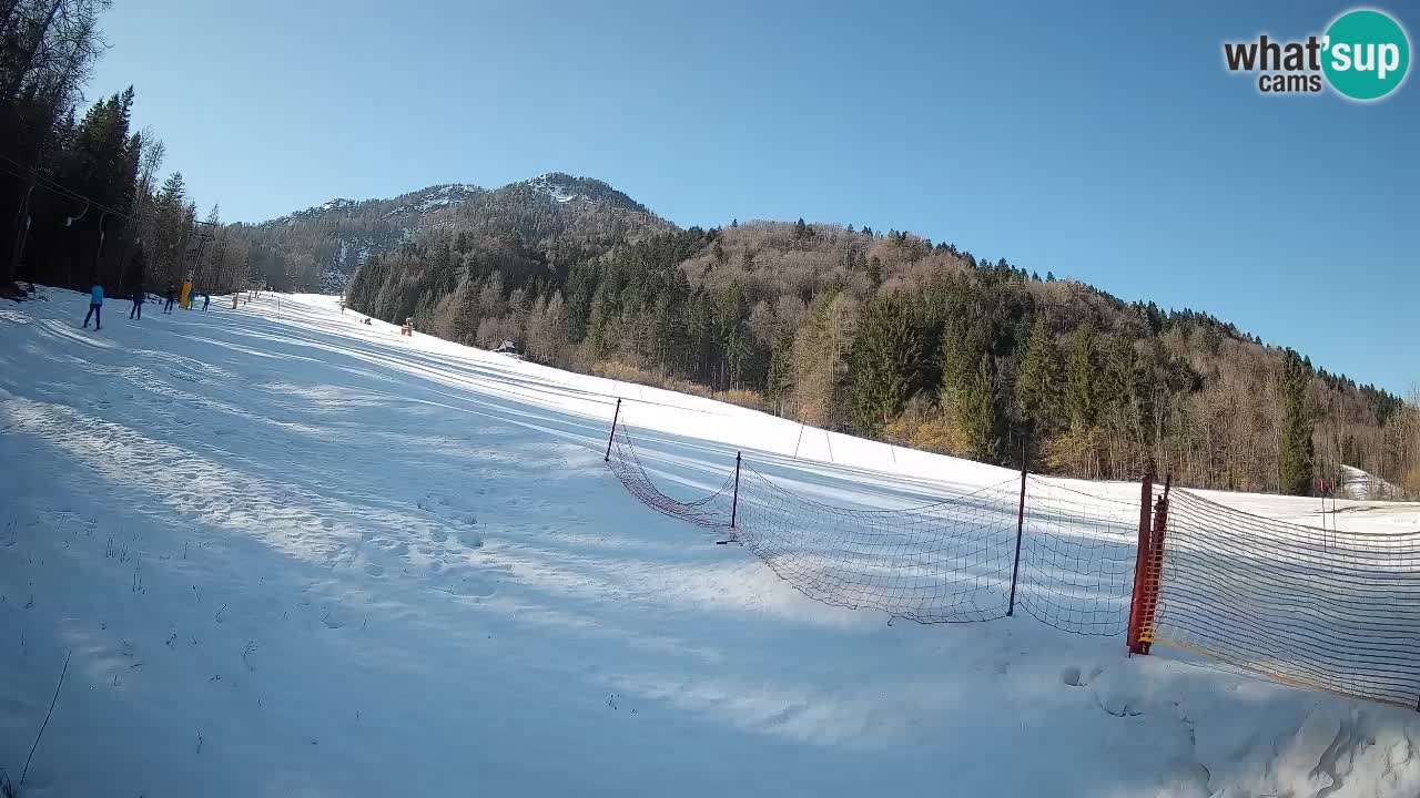 RTC Skigebiet Kranjska Gora | Brsnina