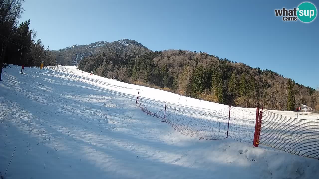 Comprensorio sciistico Kranjska Gora | Brsnina