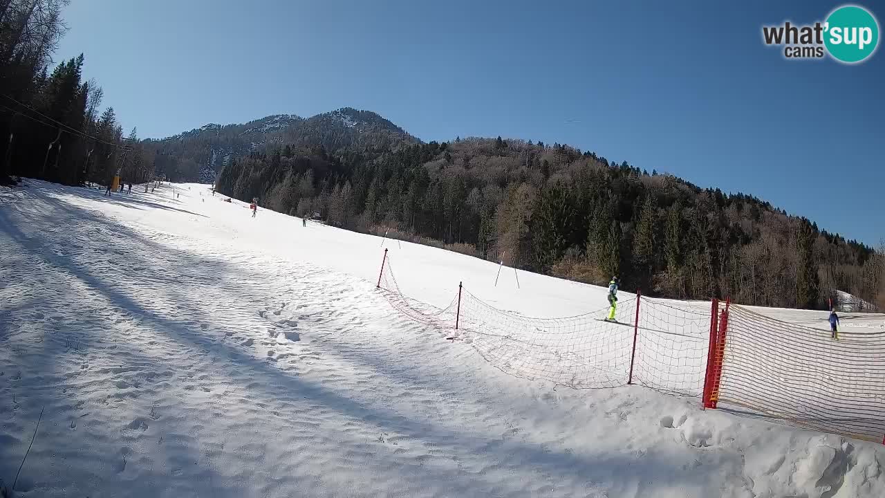 RTC Skigebiet Kranjska Gora | Brsnina