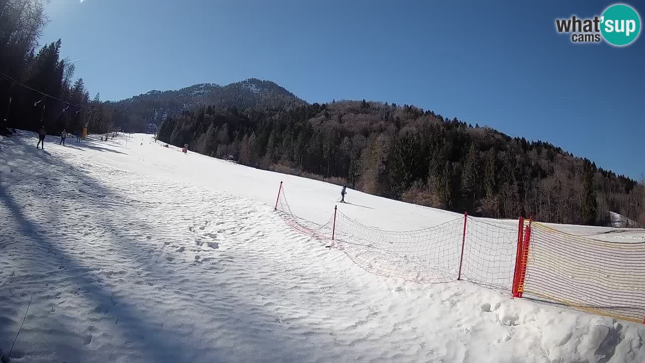 Kranjska Gora Station de ski | Brsnina