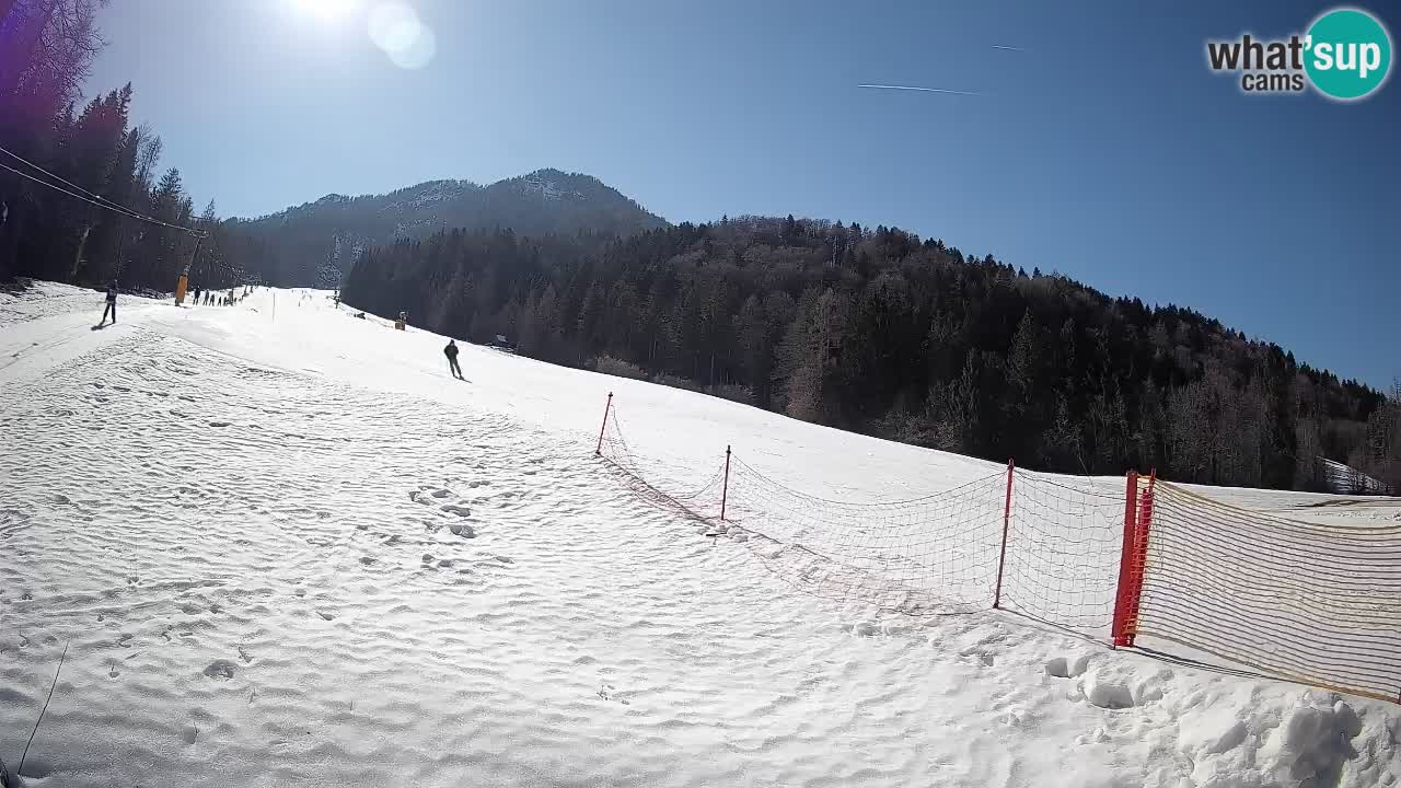 RTC Skigebiet Kranjska Gora | Brsnina