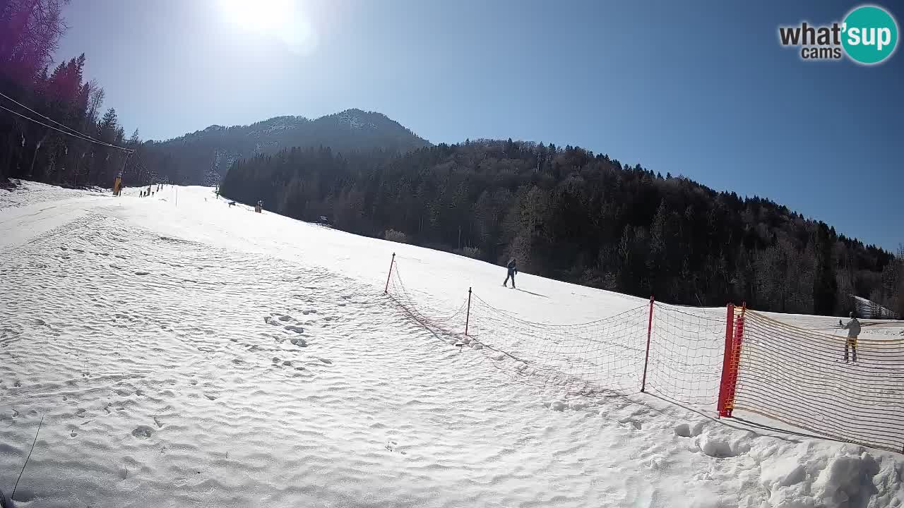 Kranjska Gora Station de ski | Brsnina
