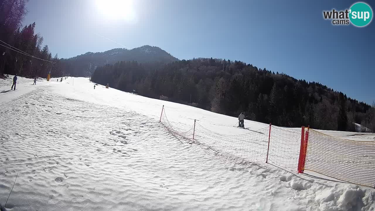 Ski Kranjska Gora | Brsnina