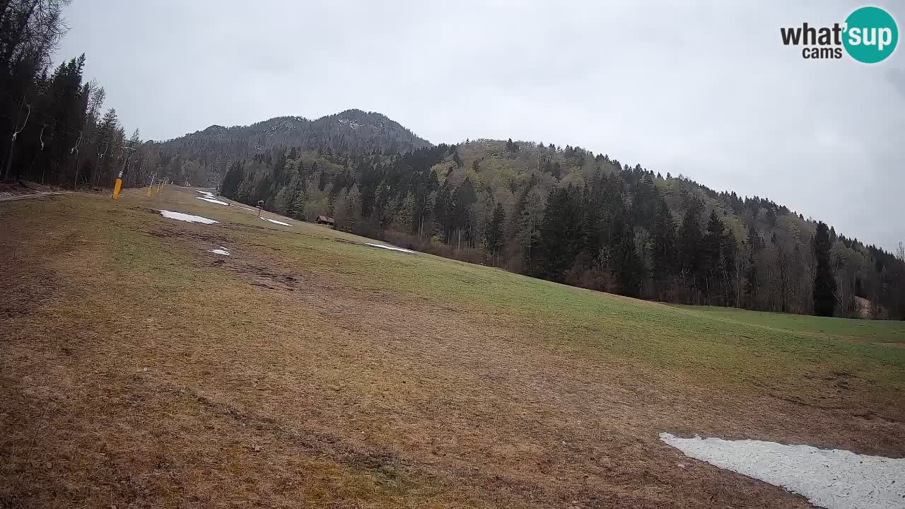 Kranjska Gora Station de ski | Brsnina