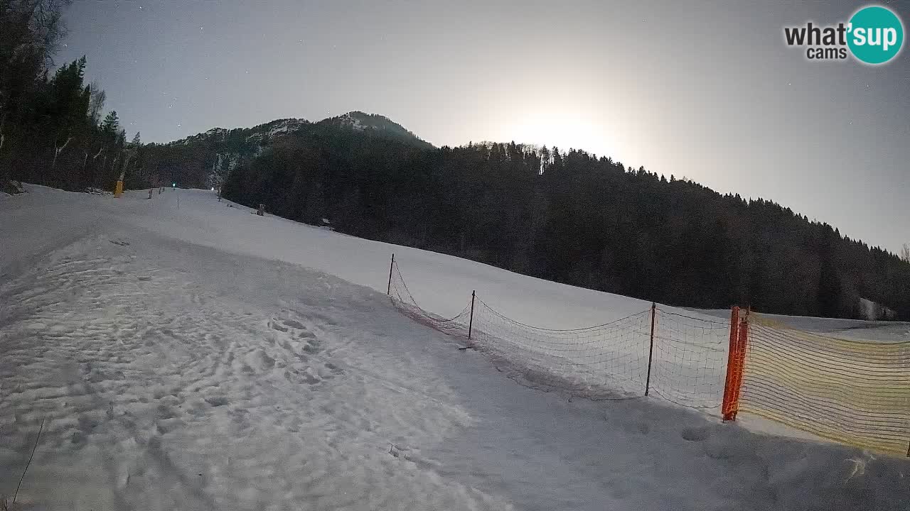 Ski Kranjska Gora | Brsnina