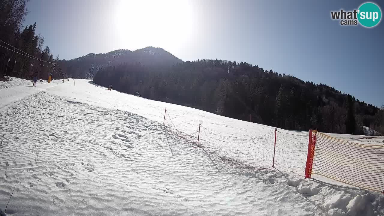 Esquí Kranjska Gora | Brsnina
