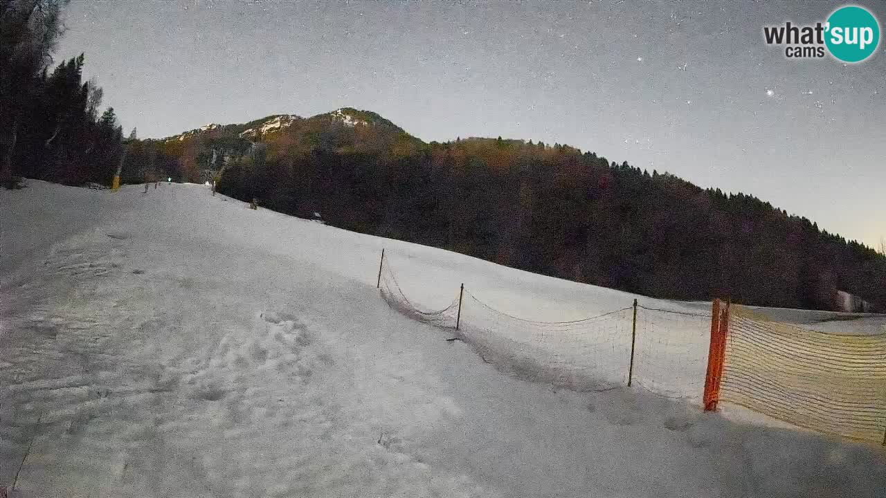 Ski Kranjska Gora | Brsnina