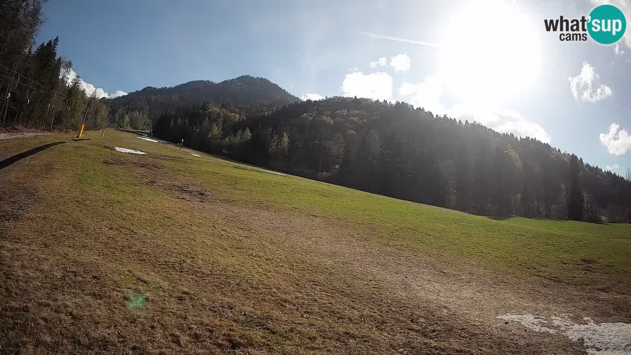 Kranjska Gora SKIJANJE | Brsnina