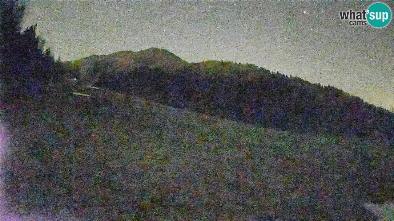 Ski Kranjska Gora | Brsnina