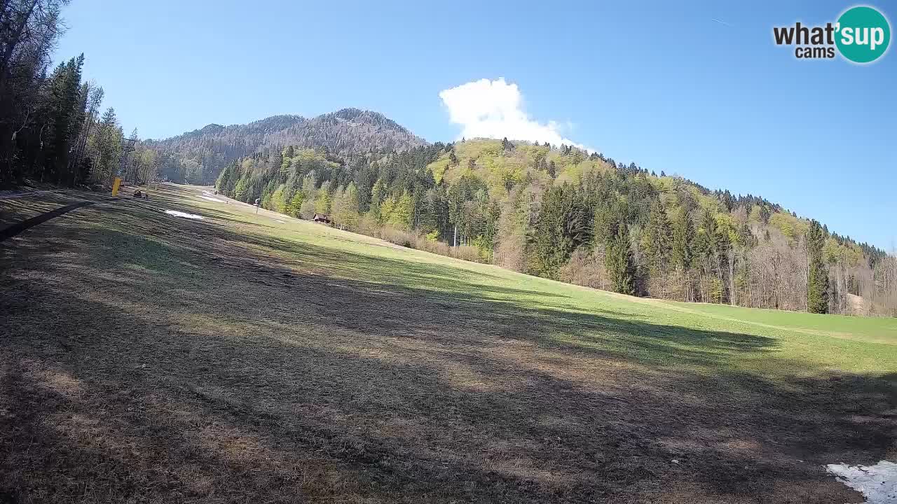 RTC Kranjska Gora | Brsnina