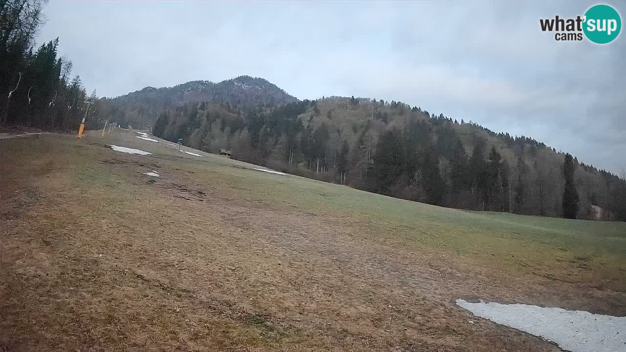 Ski Kranjska Gora | Brsnina