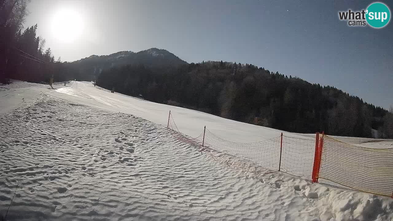 Kranjska Gora Station de ski | Brsnina