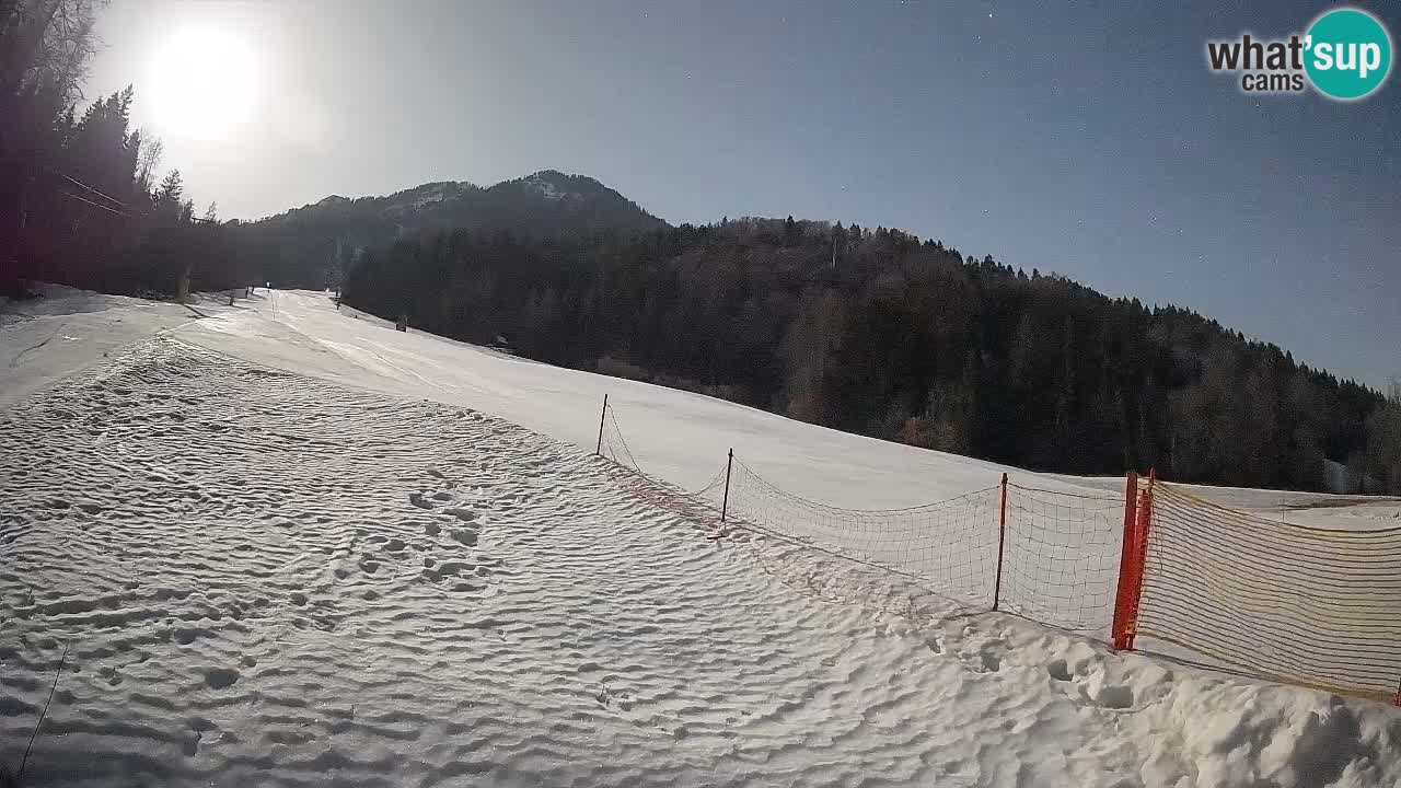 RTC Skigebiet Kranjska Gora | Brsnina