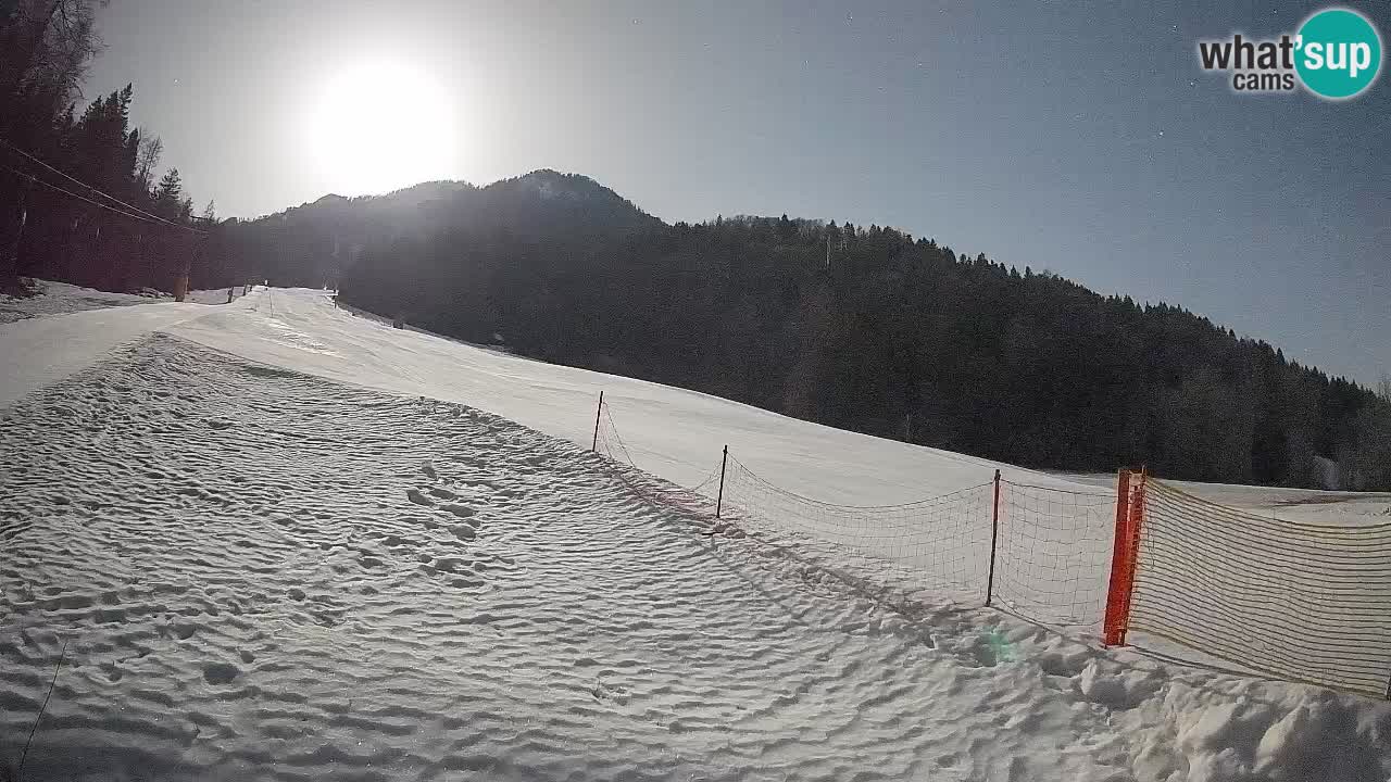 Kranjska Gora SKIJANJE | Brsnina