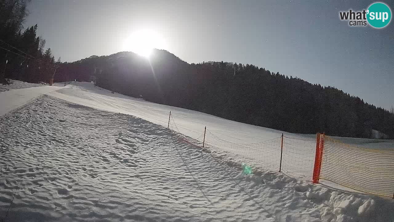 Comprensorio sciistico Kranjska Gora | Brsnina