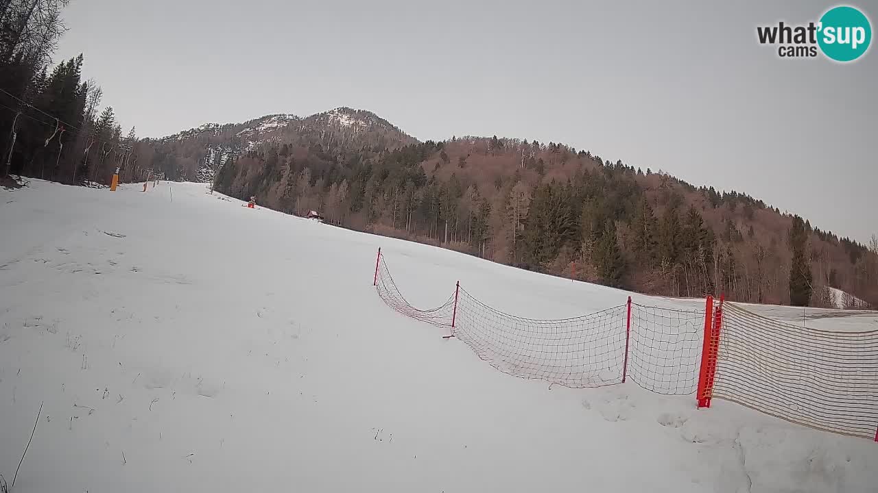 Kranjska Gora SKIJANJE | Brsnina