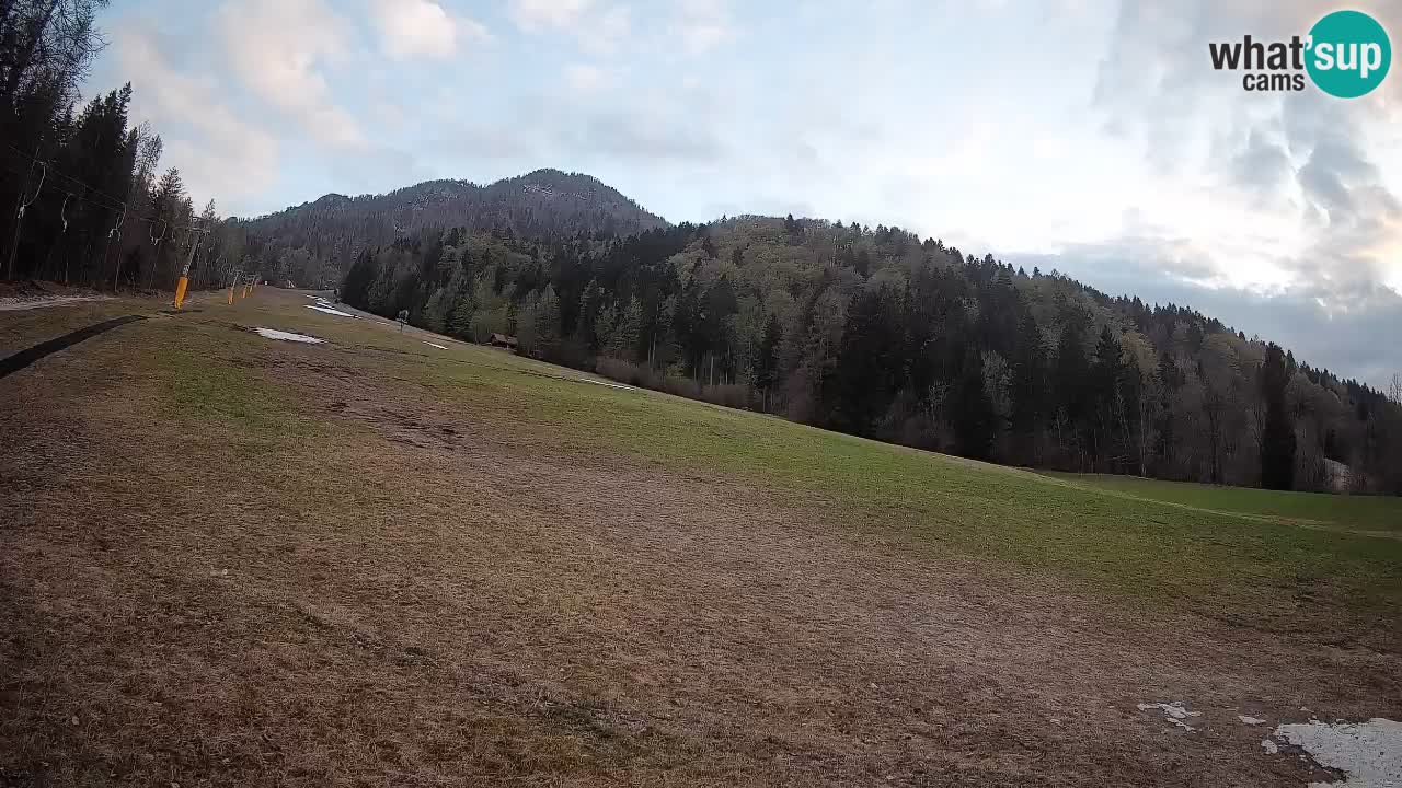 Kranjska Gora SKIJANJE | Brsnina
